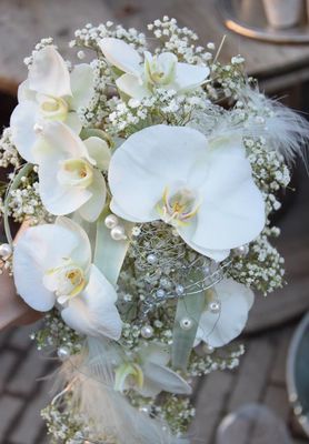 149387_665990336839283_62858182874703227_n