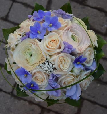 20527_665990913505892_2409827802893483753_n