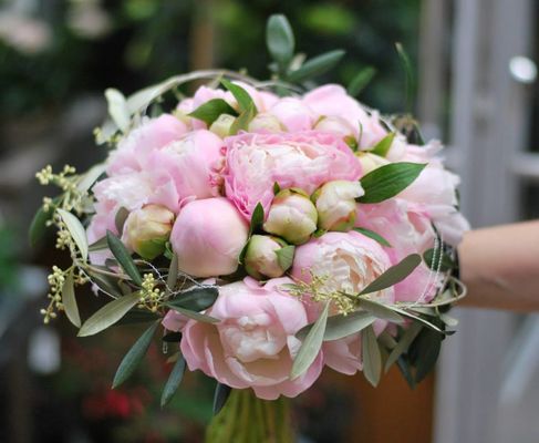 996819_380209538750699_314995737_n