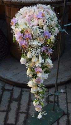 10954494_665990153505968_3297913697120648589_n