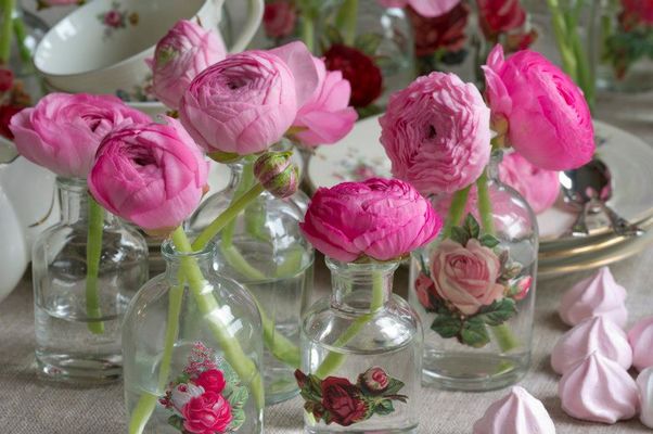 528977_329765900461730_1221516864_n