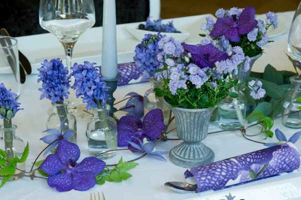 523241_329764857128501_1974995727_n