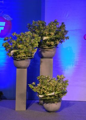 10153982_516550255116626_665222724425341450_n