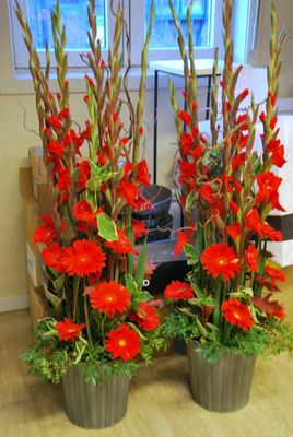 390074_300332516738402_499968004_n