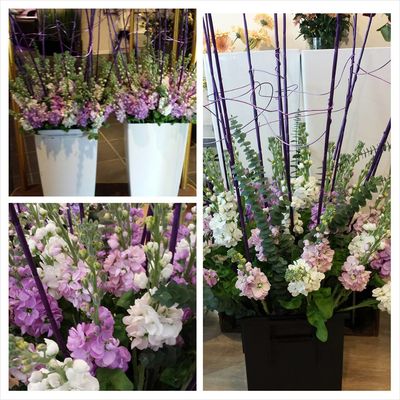 1975098_497672893671029_1660440327_n