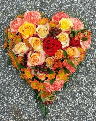 10456418_588951441209840_7557767205083050701_n