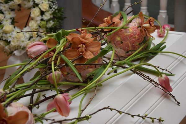 10931411_642194699218847_3571544213002722469_n