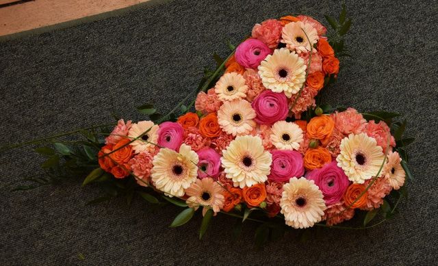 10931145_642194009218916_2885760404955994181_n