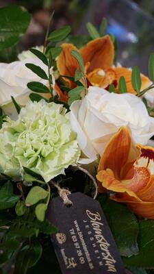 343067485_1408934959921255_3318342276423938795_n[1]