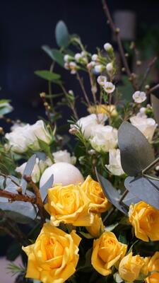 343095926_161379416880462_1530600321471774393_n[1]